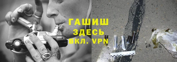метадон Богданович