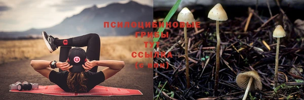молекула духа Новокубанск