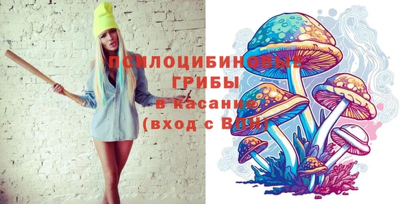 гидропоника Богородицк