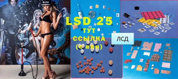 метадон Богданович