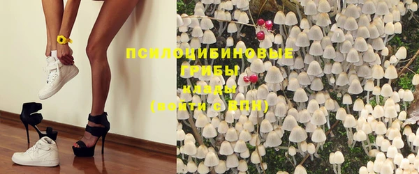 метадон Богданович